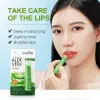 Full English Aloe Vera Lip balm SADOER vitamin C Hydrating, Moisturizing and nourishing Cross-border foreign trade live wholesale Specification image
